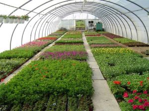 Horticulture Solutions