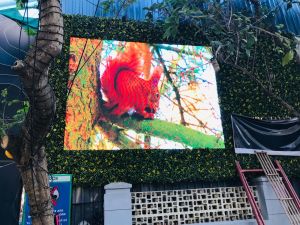 Outdoor LED Video Display