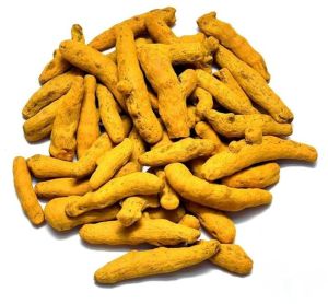 Natural Finger Turmeric For Cooking