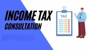 Online Income Tax Consultants Service