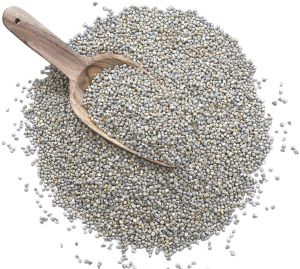 Green Millet (Bajra)