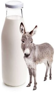Premium Quality Donkey Milk
