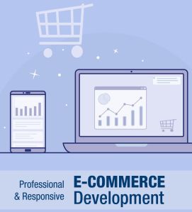 Ecommerce Web Development service