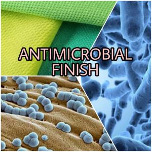 Antimicrobial Chemicals