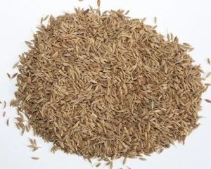 Cumin Seeds