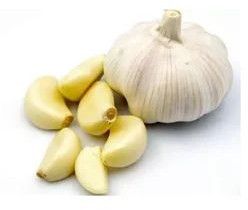 Fresh Garlic