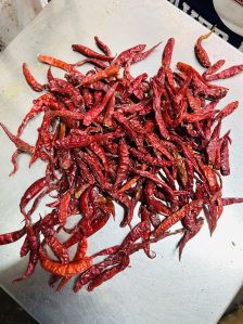 dry red chilli