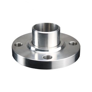 Stainless Steel flanged disc