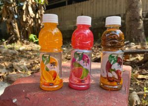 Fruit Juices, Packaging Type : Bottle