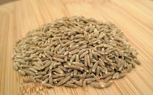 Raw Natural Spices Cumin Seeds For Food Usage