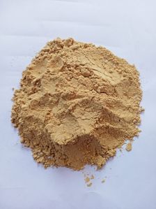 chikoo powder