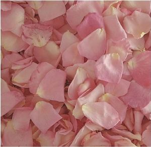 Dried Pink Rose Petals