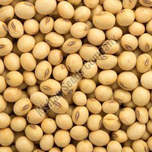 Organic Brown Soybean Seeds, Certification : FSSAI Certified