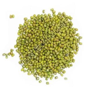 Green Moong Beans