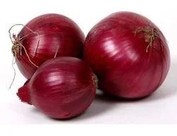 Fresh Red Onion For Food