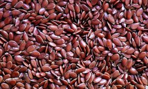 Organic Flax Seeds