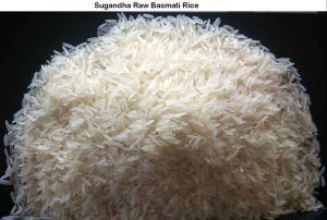 Sugandha Raw Basmati Rice