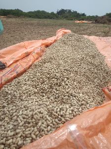 Mitra Exim Groundnuts, Weight (Kg) : 40kg