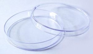 Polystyrene 90mm Petri Dish, Shape : Round