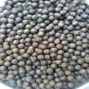 Raw makhana seed