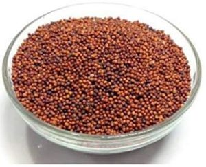 Finger Millet Seeds