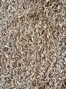 Cumin Seeds