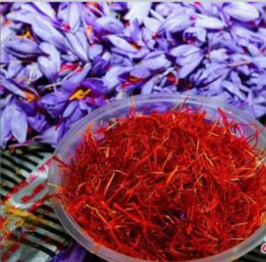 Organic Kashmiri Saffron, Packaging Type : Plastic Packet