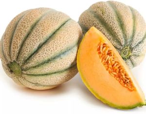 Organic Fresh Muskmelon For Human Consumption