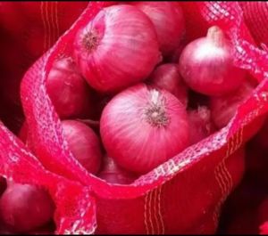 Onion, Packaging Size : 50 Kg