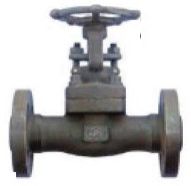 Integral Forged Gate Valve