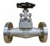 Integral Forged Globe Valve