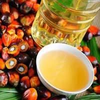 Palm Oil PREMIUM QUALITY