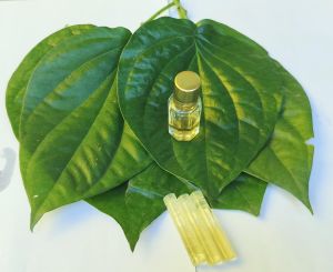 Organic Betel Leaf Oil For Industrial Use