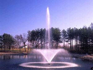 Floating Fountains