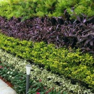 Gardening Services