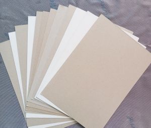 Gray Back Duplex Board Paper