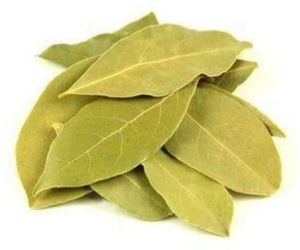 Organic Bay Leaves For Cooking