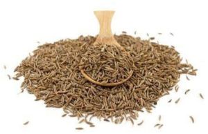 Organic Caraway Seeds For Cooking