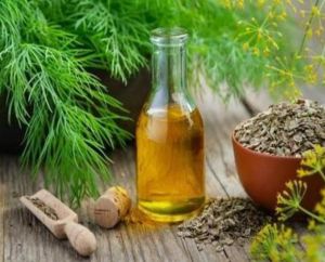 Organic Dill Seed Oil, Form : Liquid