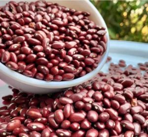 Organic Red Kidney Beans For Cooking