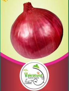 Selection Research Onion Seeds, Packaging Size : 500 Gm