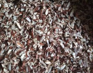 Coconut Peelings For Oil, Herbal Formulation, Cooking, Ayurvedic Formulation