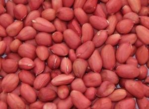 Redskin Peanuts