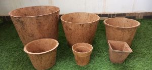 Coir Pots