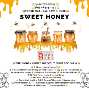 Company Incorporation