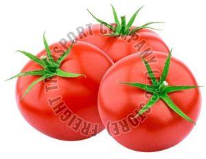 A Grade Red Tomato, Packaging Type : Gunny Bag