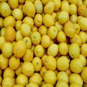 Fresh Yellow Lemon