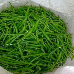 Gauri A Grade G4 Green Chilli