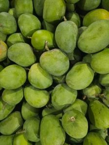 Natural Karnataka Alphonso Mango For Juice Making, Direct Consumption