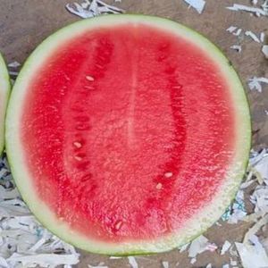 Organic Suprit Watermelon, Packaging Type : Plastic Bag